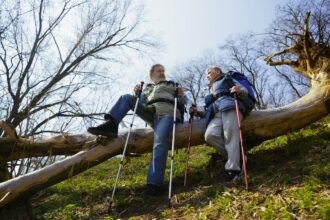 Osteoporoseprävention: Stark durch den Winter